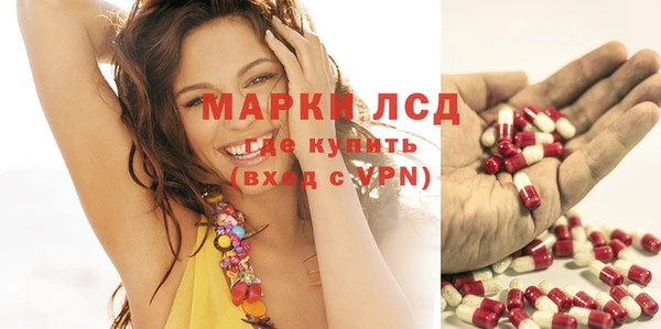 стафф Михайловка