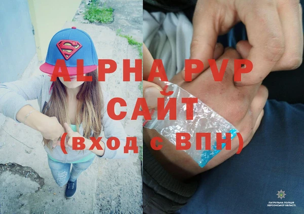 стаф Вяземский
