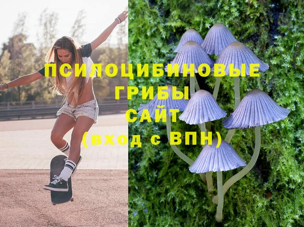 кокаин перу Михайлов