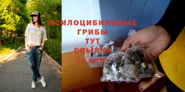 2c-b Вязьма