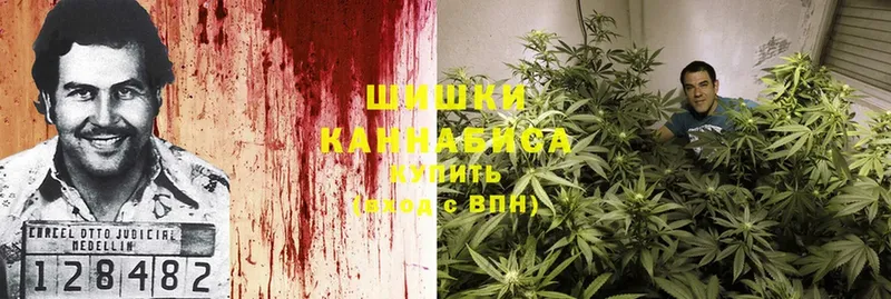 где можно купить наркотик  Галич  МАРИХУАНА White Widow 